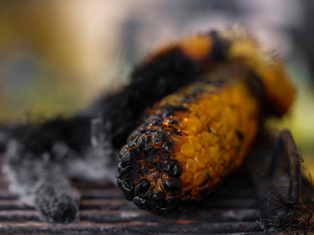 中秋烤肉健康全攻略：遠離地雷食物、專業代烤，讓團圓更無負擔！