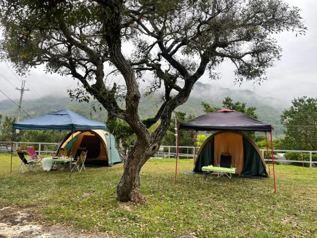 馬沙露營區｜親子遊樂天堂，團露最整齊